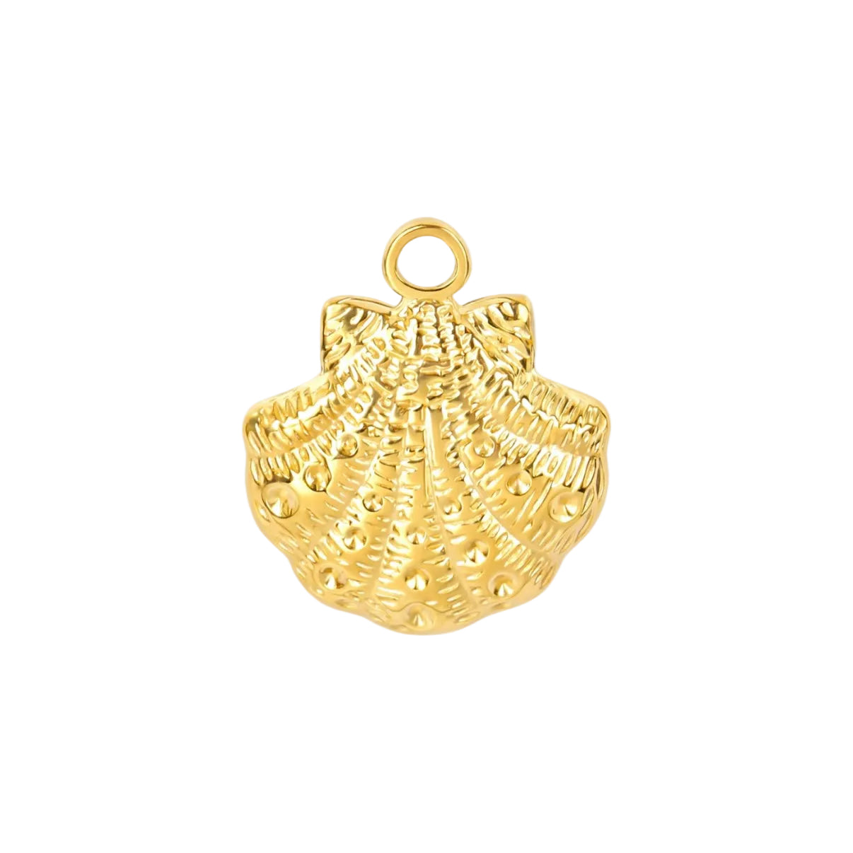 Bedel | RVS | Schelp | Goud