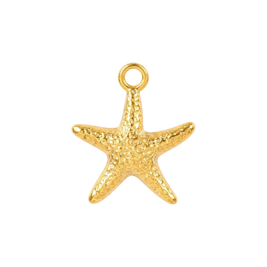 Bedel | RVS | Zeerster | Goud